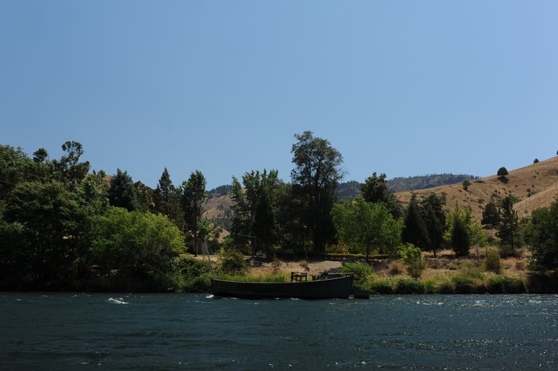 Dant Ferry