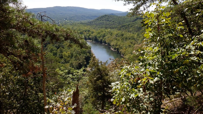 Paw Paw Sorel Ridge