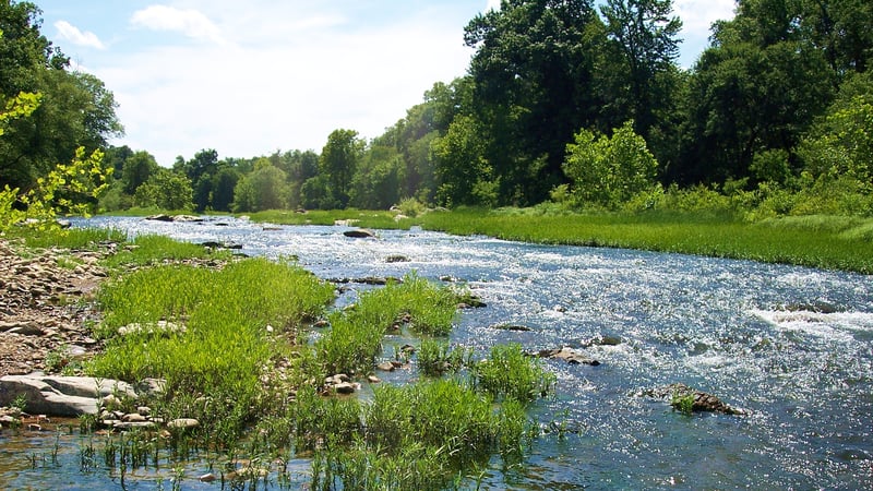Shoals on the Ouachita