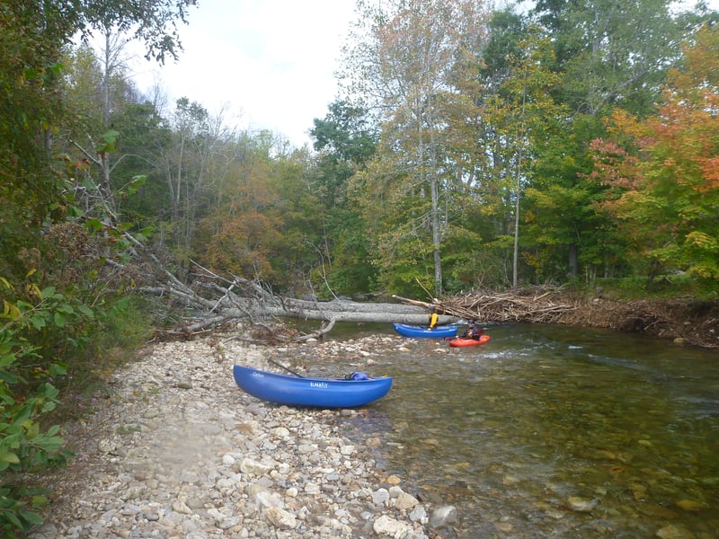 log jam at golf course @ 250 cfs