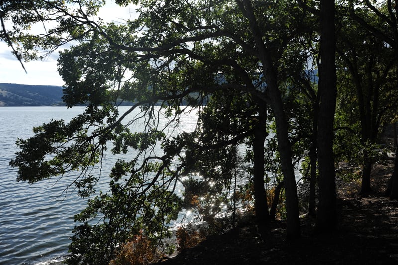Copco Cove Recreation Area