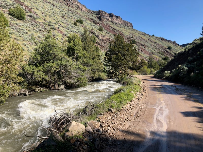 Jarbidge, West Fork @Jarbidge NV to Idaho/ EF confluence