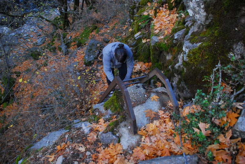 Box Canyon Access Ladder