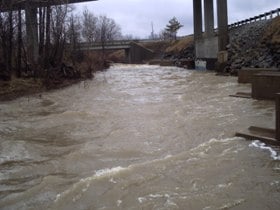 Tree Down at Bridges