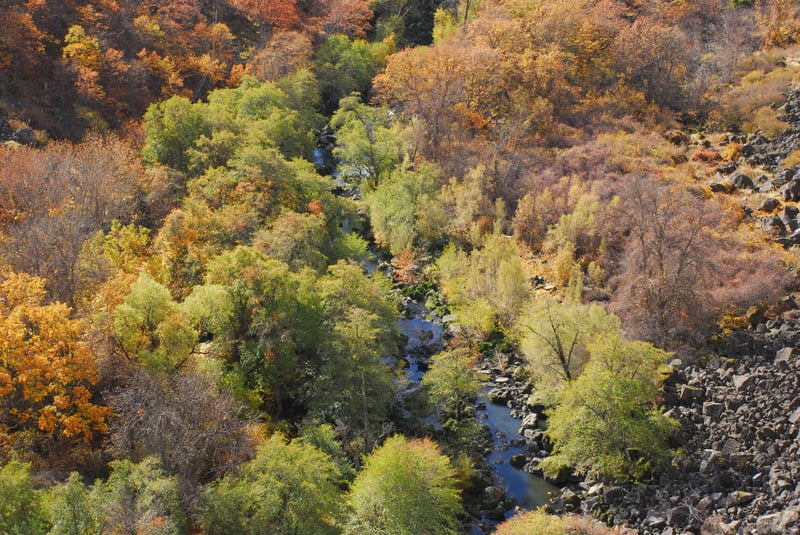 Wards Canyon