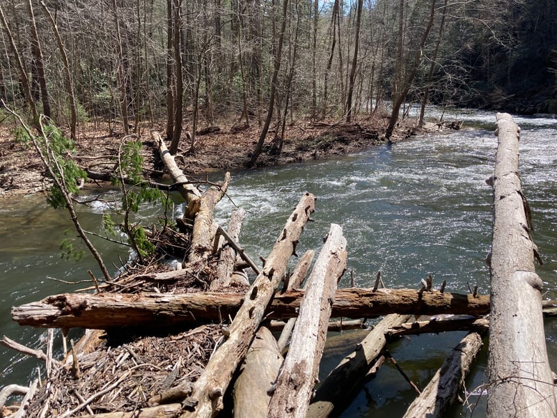 Pile of trees at the first left-turn oxbow 4 to 4.5 miles downstream