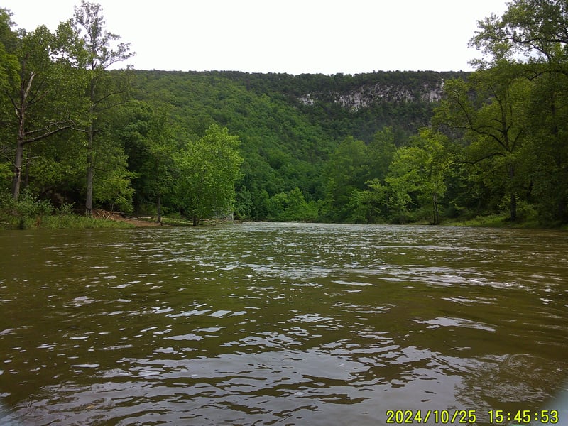 Cacapon View