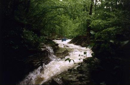 Entering The Sphinkter