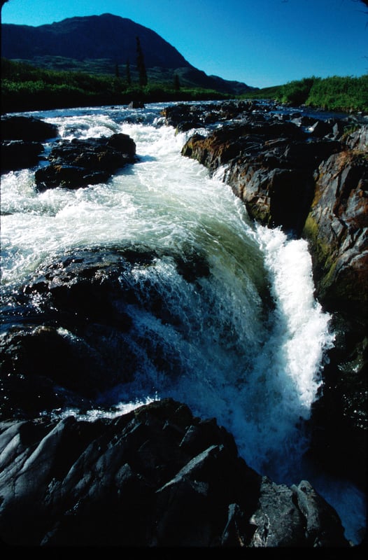 Delta Falls high water