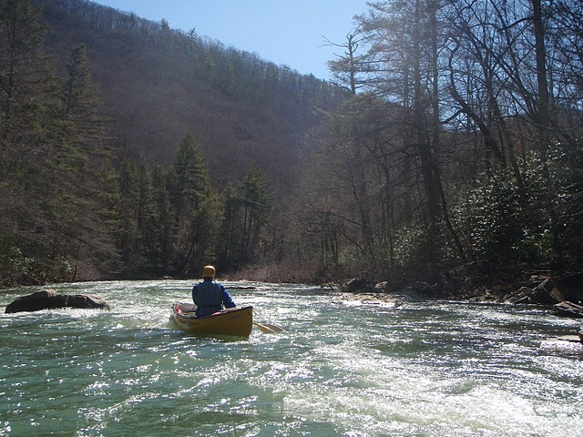 Anthony Creek