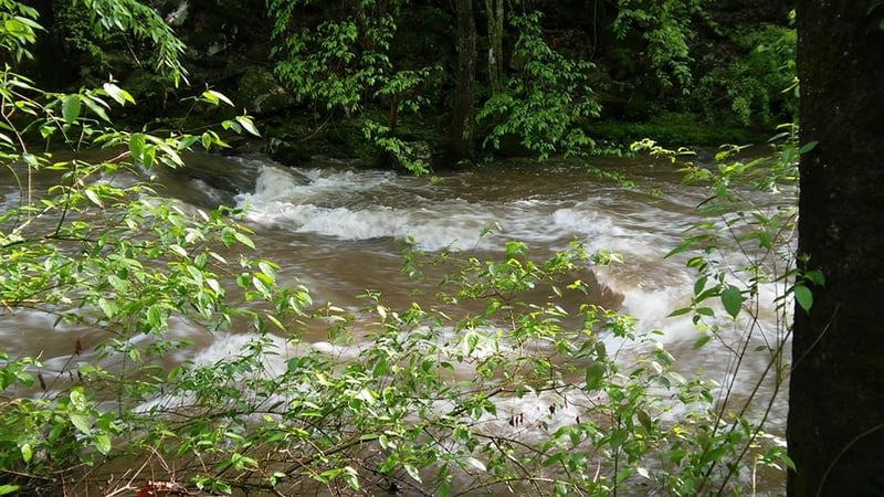 Esplorazione stradale di Gurley Creek