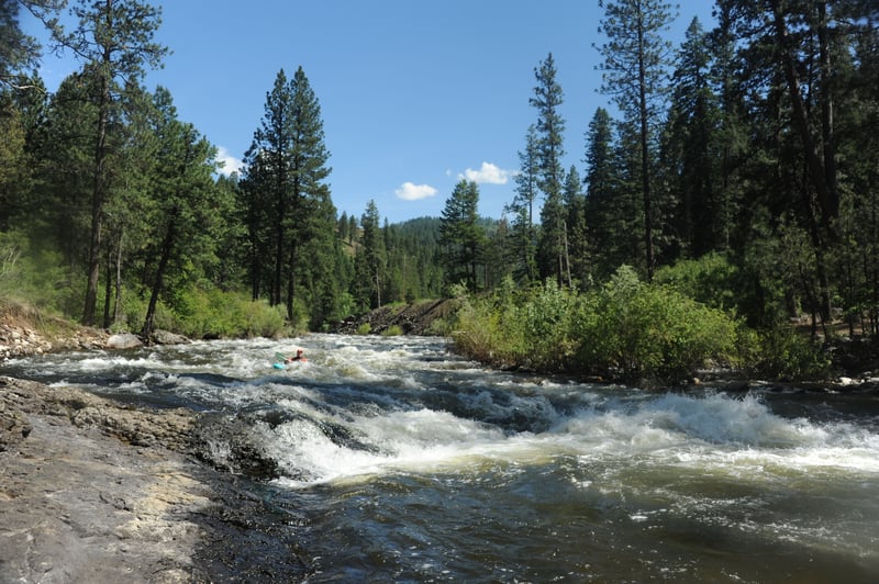  on Little Salmon @2. Hazard Creek to Salmon River at Riggins