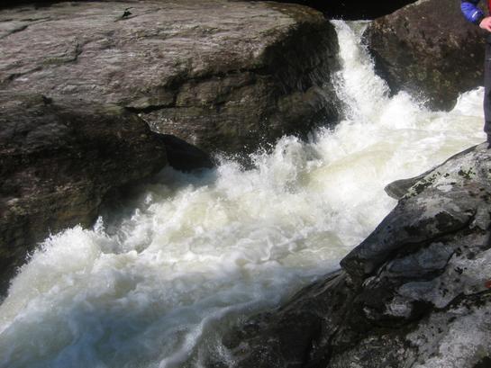 Sieve Rapid