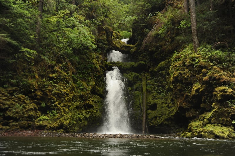 Curly Creek Falls