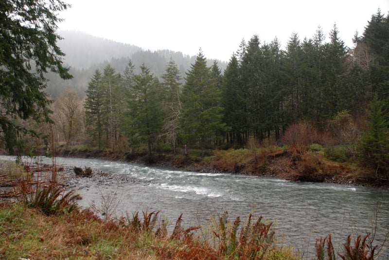 Wilson River