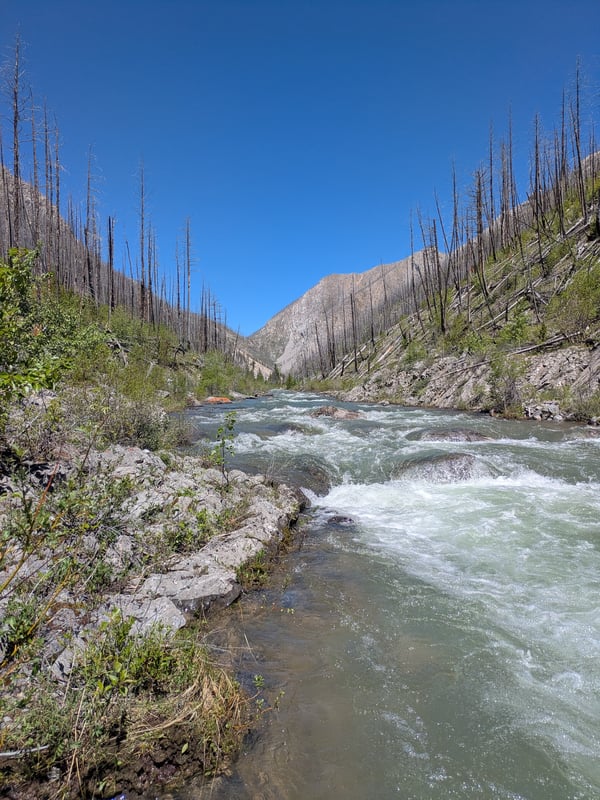 Mid Canyon