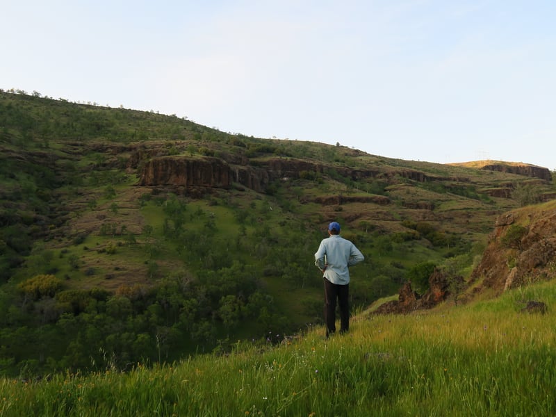 Looking into Cameron Creek