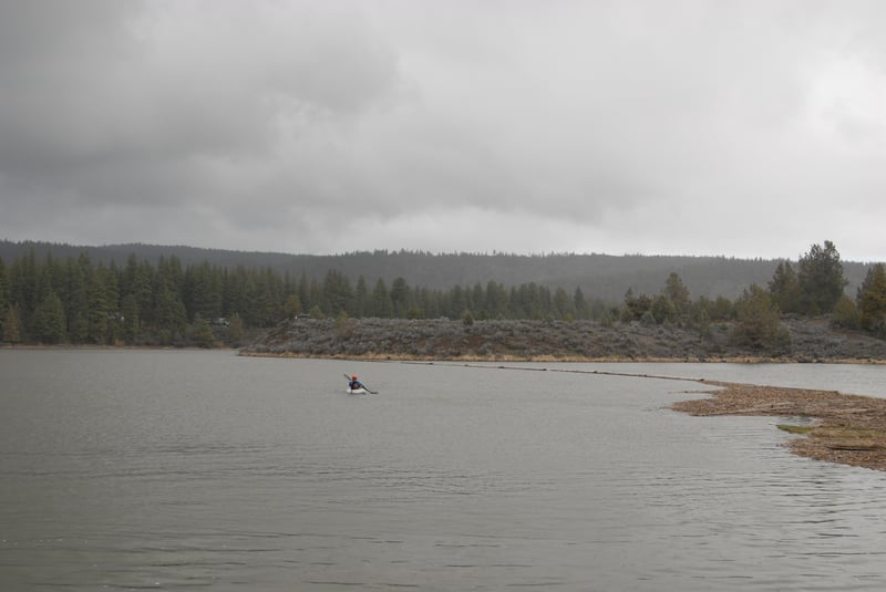 Hattie Paddling Across the Reservoir