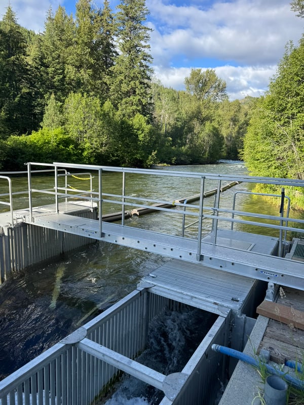 Floating Fence at Fish Diversion Dam