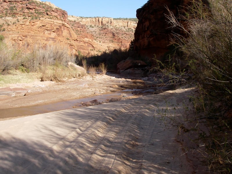 Dolores River Canyon