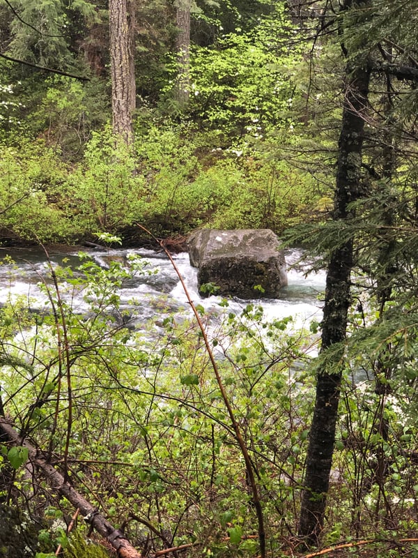 McCloud @Fowler Camp to McCloud Reservoir