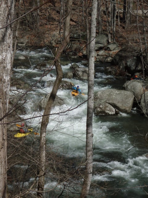Upper Piney