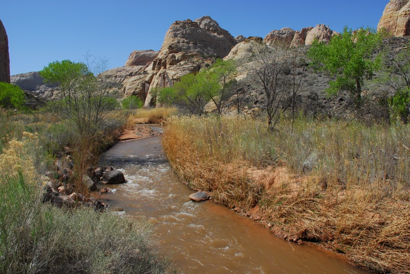 Freemont River