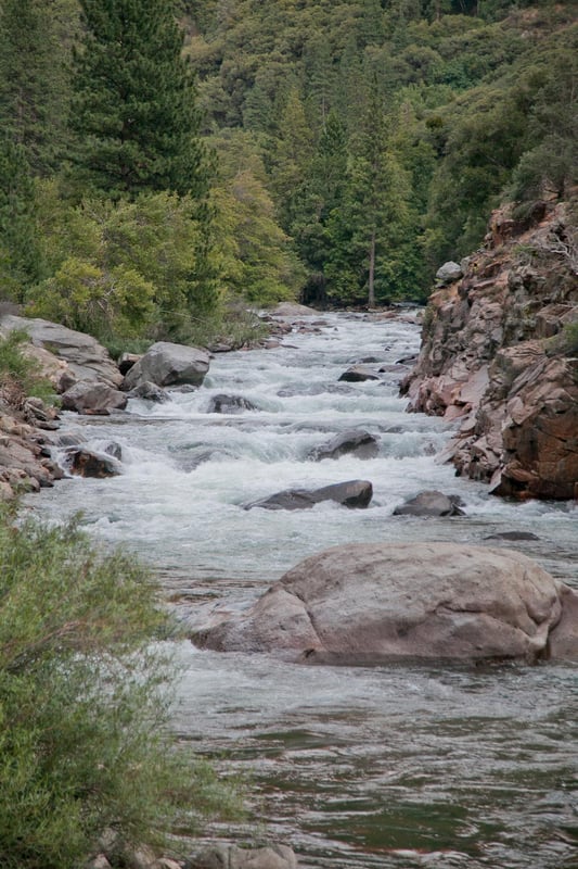 Boogy Water 2