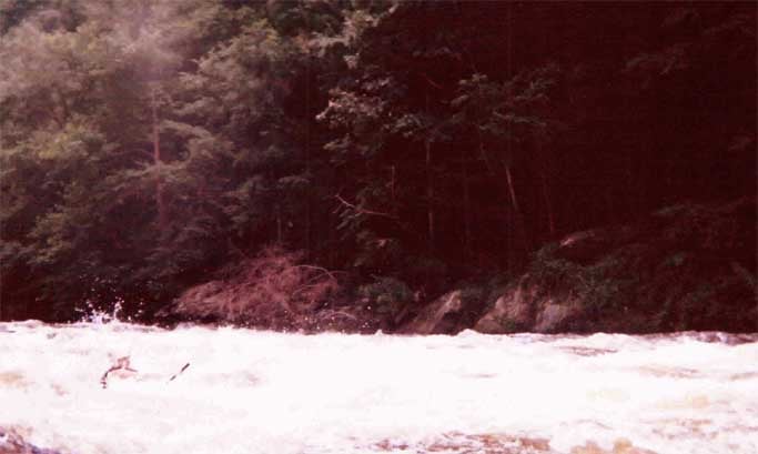 Pigeon River