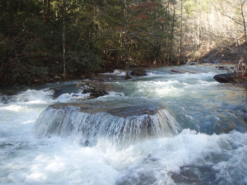 early in the run rapid