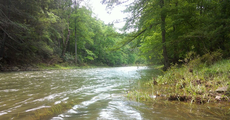 Sideling Hill Creek 6-1-2025