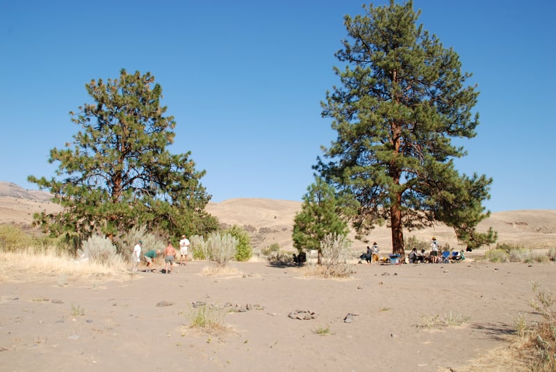 Whiskey Dick Campsite