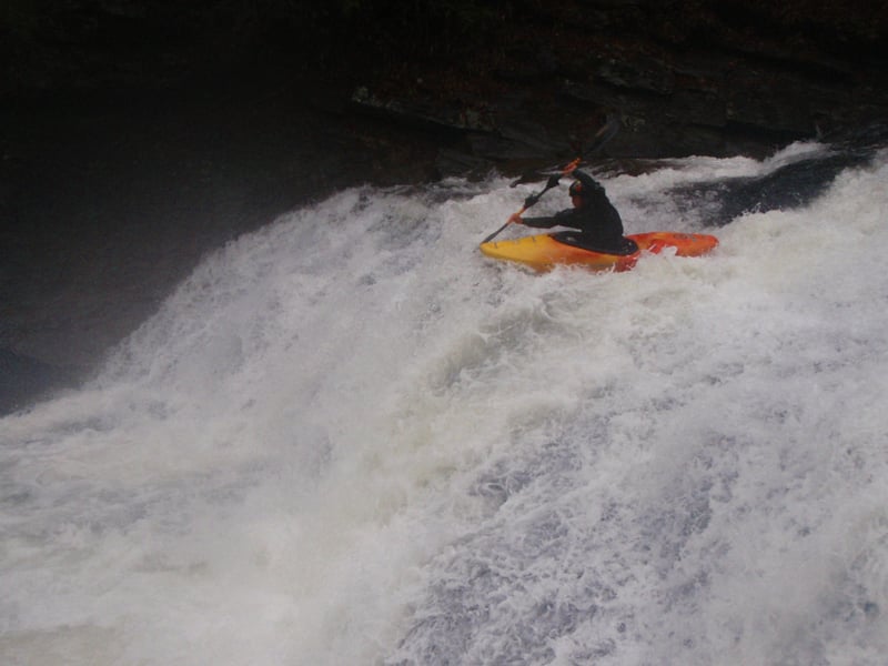 Royce Cowan Super Soc Em Dog