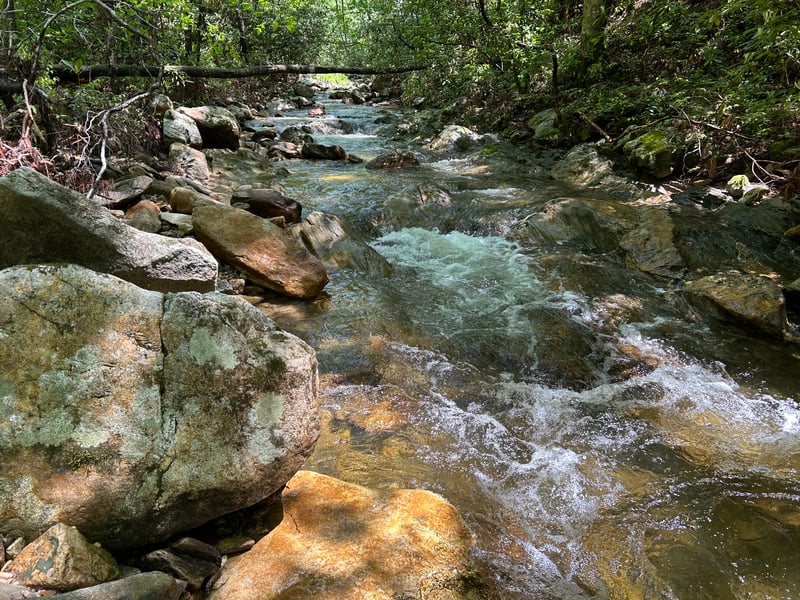 Rapid on Rockhouse Creek