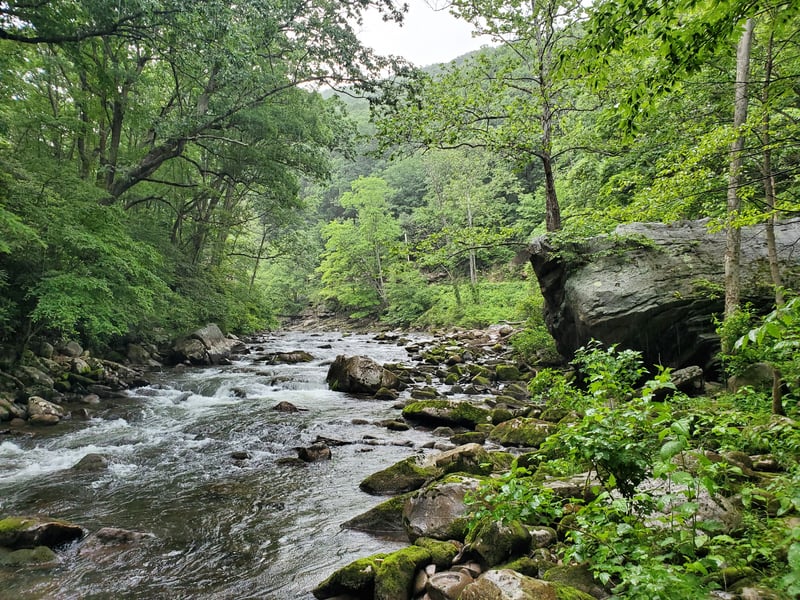 Low Water Savage (60 cfs)