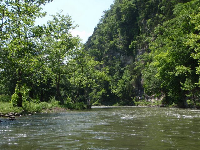 Walker Creek