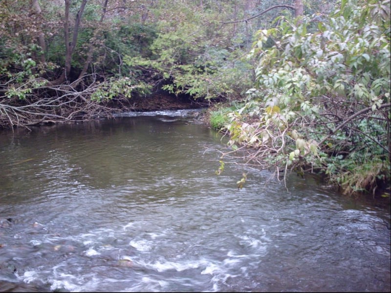 Downstream of Defunct Railroad Stonework+Timbers