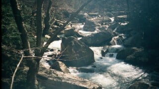 Goliath, Manns Creek