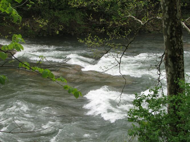 North Branch Potomac - Whitewater Release
