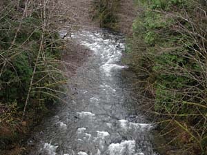 Snahapish River