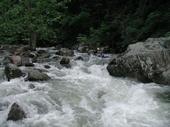 Suprise Rapid -Perfect Day
