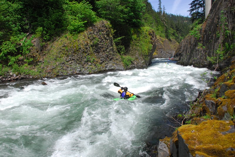 Final Rapid