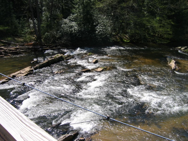 Toccoa footbridge Rapids
