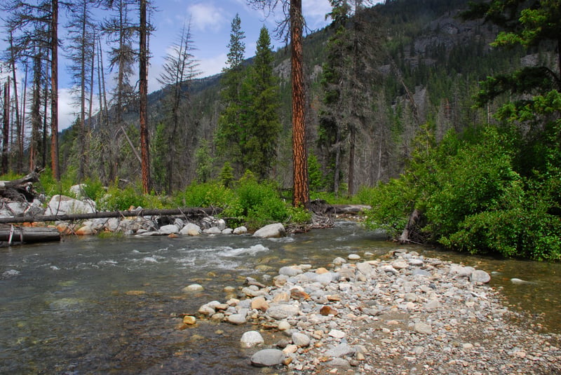 Doctor Creek Slide