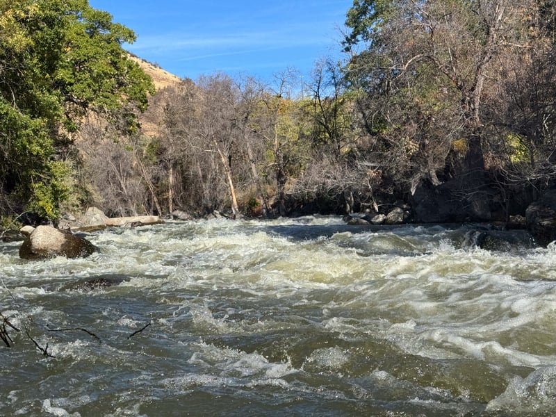 Upstream view of rapid