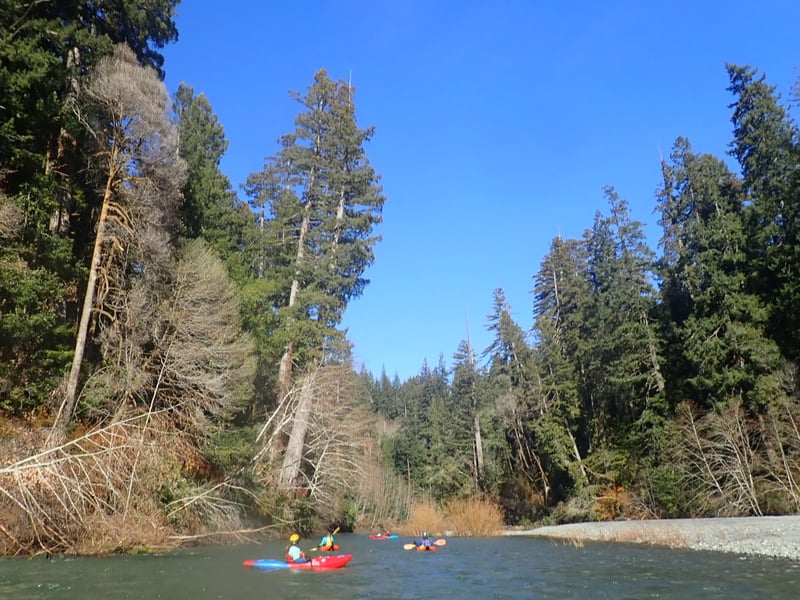 Scenic Float through Old Growth Redwood