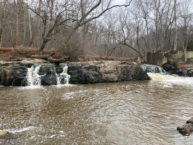 1.6 ft on the gage