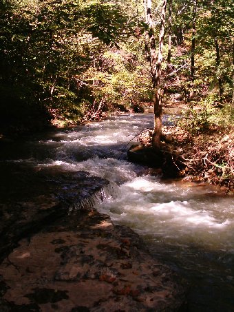Little Bluestone River