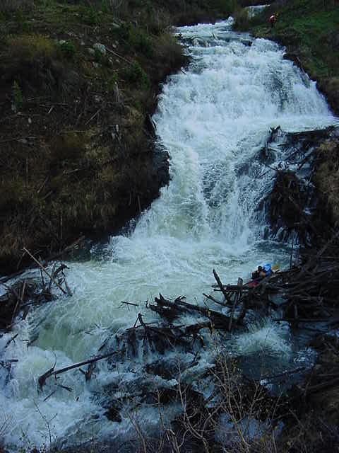 Avalanche!