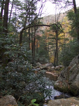Its a beautiful creek